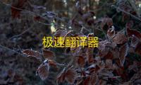极速翻译器